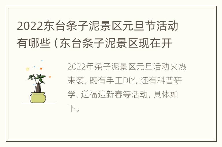 2022东台条子泥景区元旦节活动有哪些（东台条子泥景区现在开放吗）