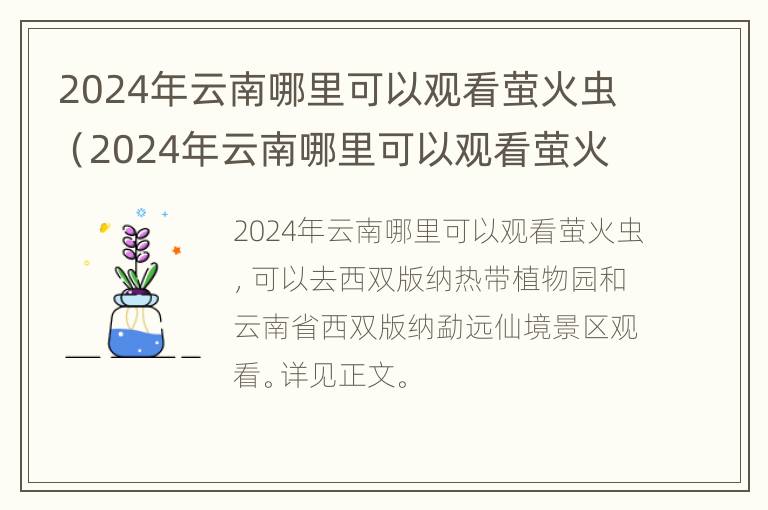 2024年云南哪里可以观看萤火虫（2024年云南哪里可以观看萤火虫节目）