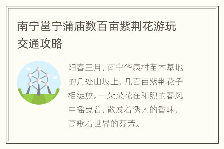 南宁邕宁蒲庙数百亩紫荆花游玩交通攻略