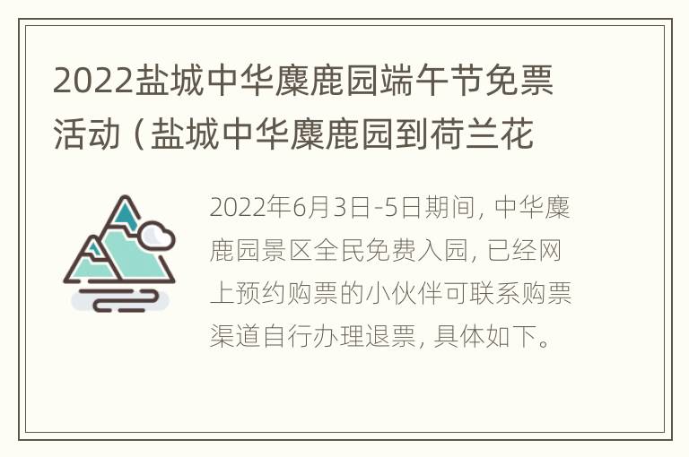 2022盐城中华麋鹿园端午节免票活动（盐城中华麋鹿园到荷兰花海）