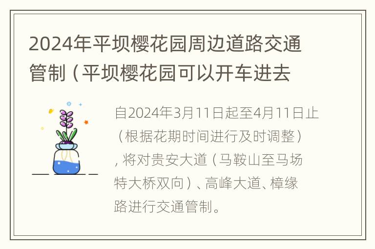 2024年平坝樱花园周边道路交通管制（平坝樱花园可以开车进去吗）