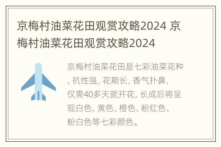 京梅村油菜花田观赏攻略2024 京梅村油菜花田观赏攻略2024