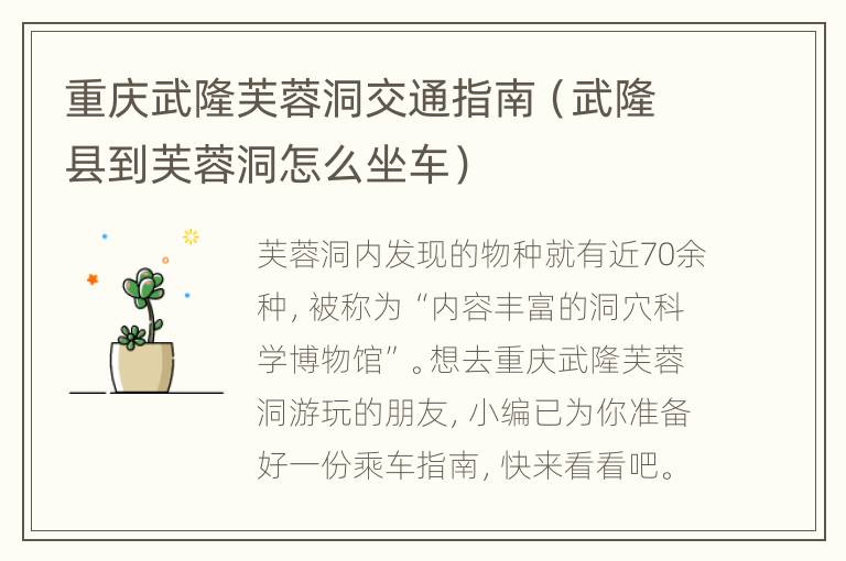 重庆武隆芙蓉洞交通指南（武隆县到芙蓉洞怎么坐车）