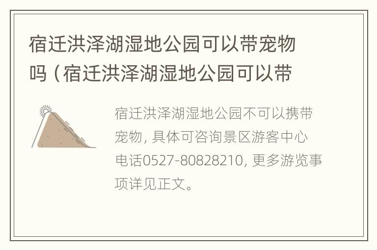 宿迁洪泽湖湿地公园可以带宠物吗（宿迁洪泽湖湿地公园可以带宠物吗多少钱）