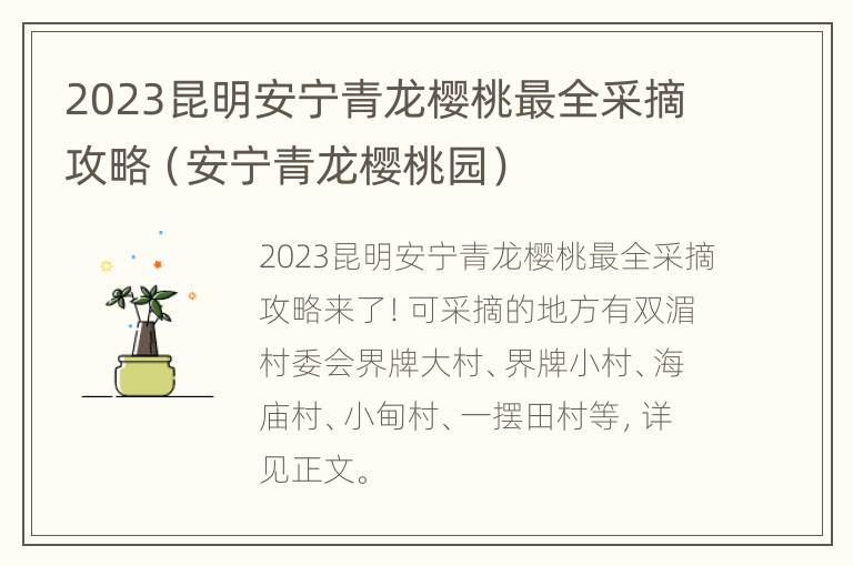 2023昆明安宁青龙樱桃最全采摘攻略（安宁青龙樱桃园）