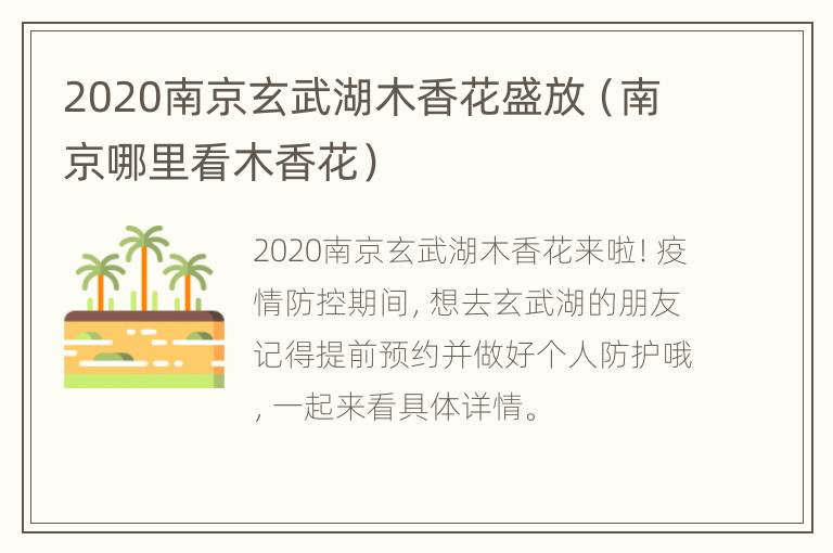 2020南京玄武湖木香花盛放（南京哪里看木香花）