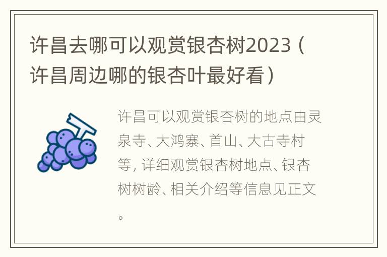 许昌去哪可以观赏银杏树2023（许昌周边哪的银杏叶最好看）