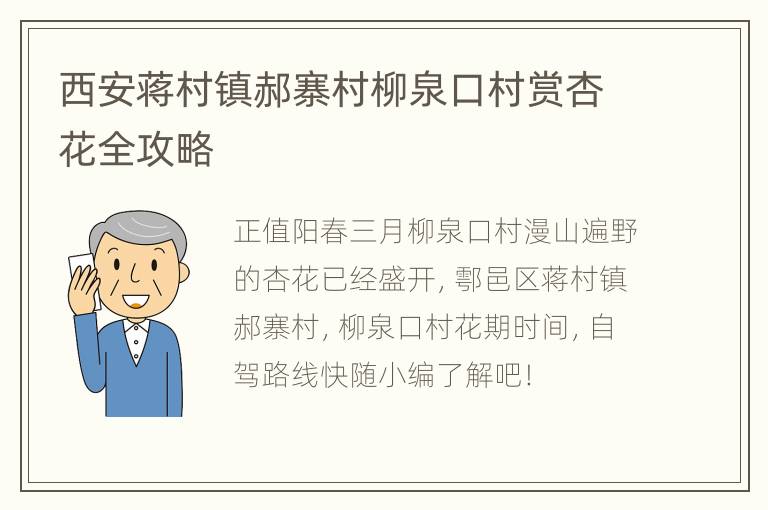 西安蒋村镇郝寨村柳泉口村赏杏花全攻略