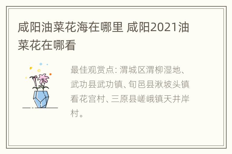 咸阳油菜花海在哪里 咸阳2021油菜花在哪看